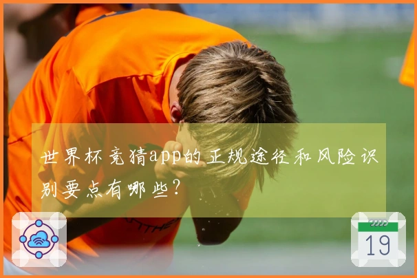 世界杯竞猜app的正规途径和风险识别要点有哪些？