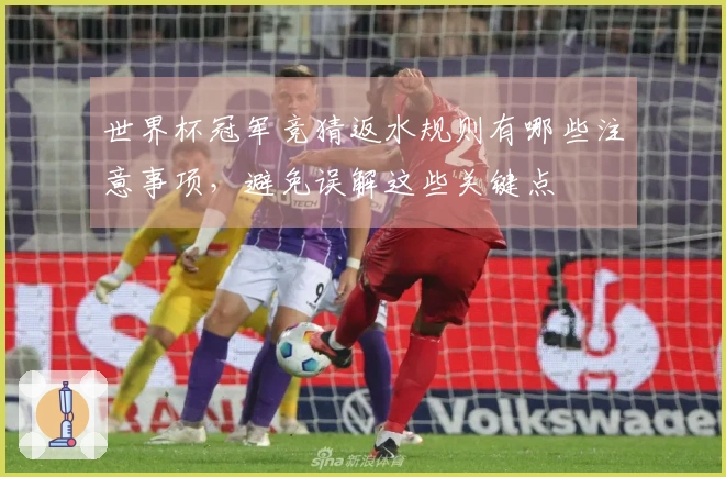 世界杯冠军竞猜返水规则有哪些注意事项，避免误解这些关键点
