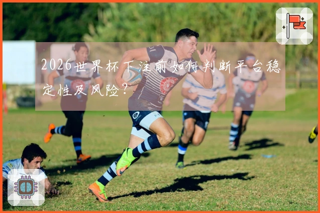2026世界杯下注前如何判断平台稳定性及风险？