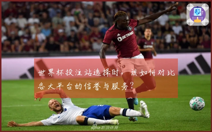 世界杯投注站选择时，该如何对比各大平台的信誉与服务？