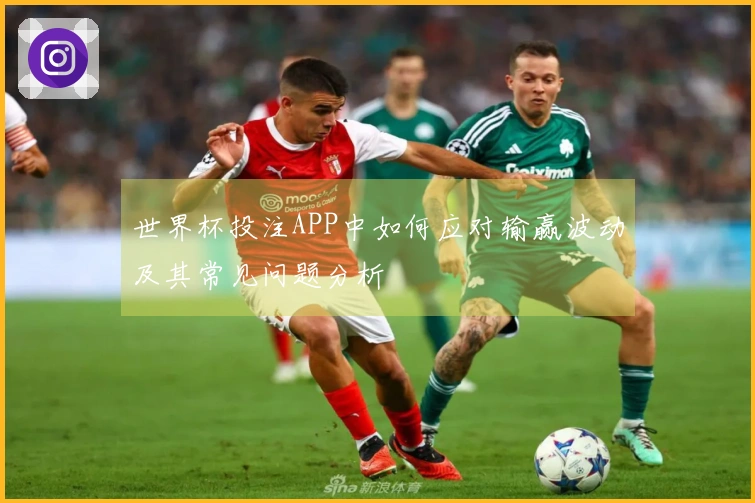 世界杯投注APP中如何应对输赢波动及其常见问题分析