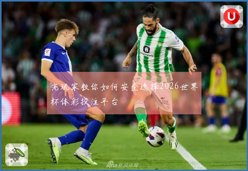 老玩家教你如何安全选择2026世界杯体彩投注平台