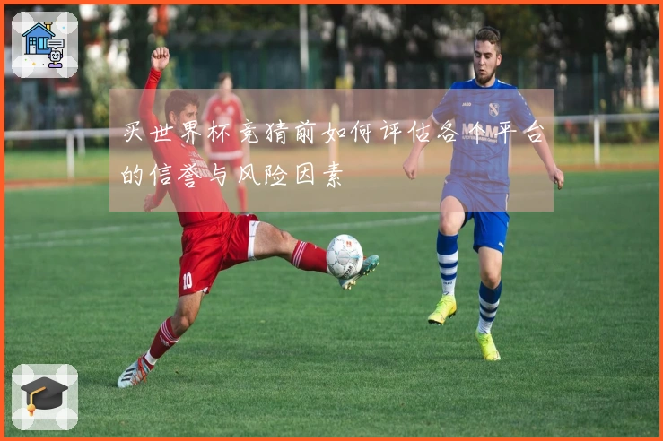 买世界杯竞猜前如何评估各个平台的信誉与风险因素