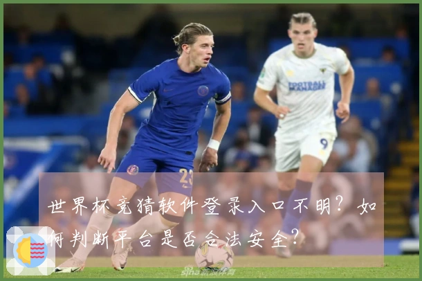 世界杯竞猜软件登录入口不明？如何判断平台是否合法安全？