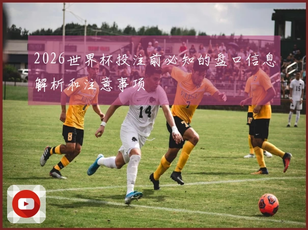 2026世界杯投注前必知的盘口信息解析和注意事项