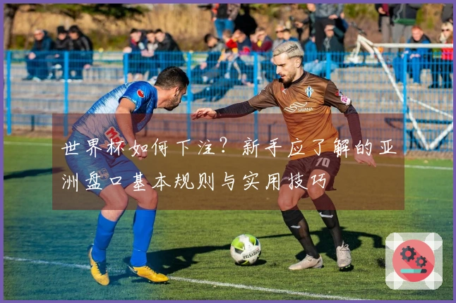 世界杯如何下注？新手应了解的亚洲盘口基本规则与实用技巧