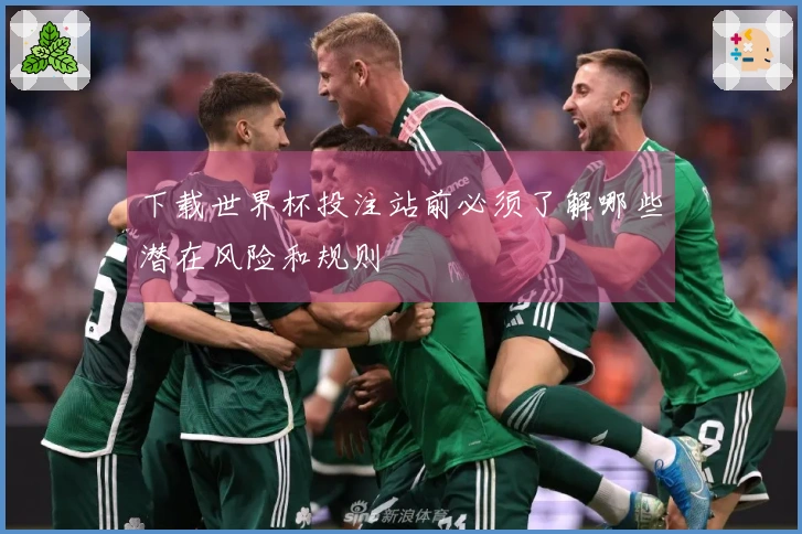 下载世界杯投注站前必须了解哪些潜在风险和规则