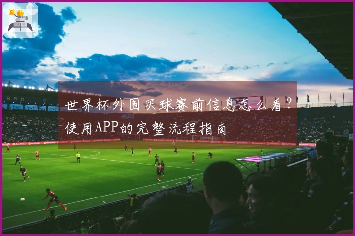 世界杯外围买球赛前信息怎么看？使用APP的完整流程指南