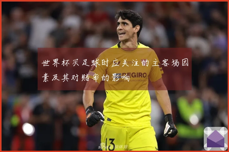 世界杯买足球时应关注的主客场因素及其对赔率的影响