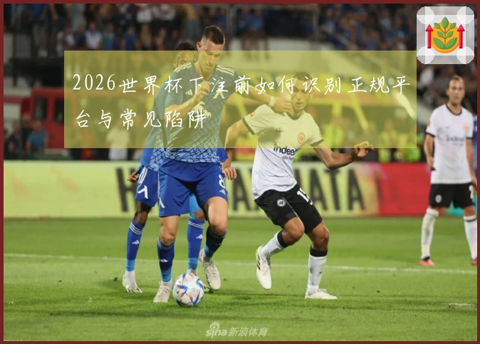 2026世界杯下注前如何识别正规平台与常见陷阱