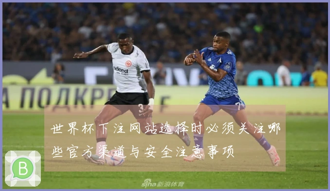 世界杯下注网站选择时必须关注哪些官方渠道与安全注意事项