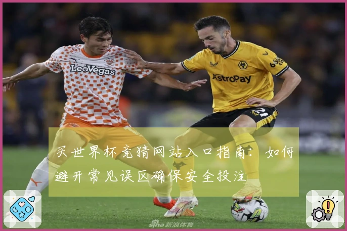 买世界杯竞猜网站入口指南：如何避开常见误区确保安全投注