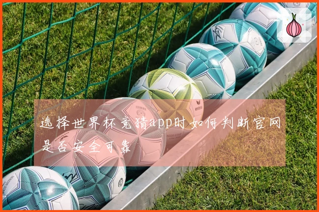 选择世界杯竞猜app时如何判断官网是否安全可靠