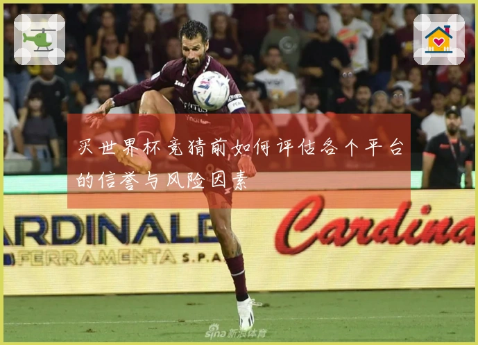买世界杯竞猜前如何评估各个平台的信誉与风险因素