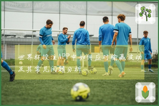 世界杯投注APP中如何应对输赢波动及其常见问题分析