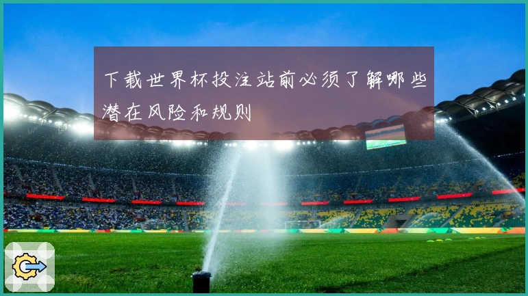 下载世界杯投注站前必须了解哪些潜在风险和规则