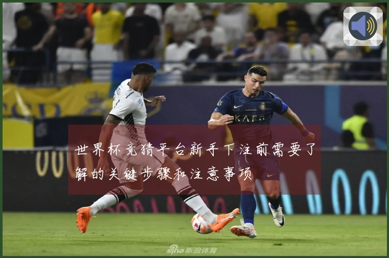 世界杯竞猜平台新手下注前需要了解的关键步骤和注意事项